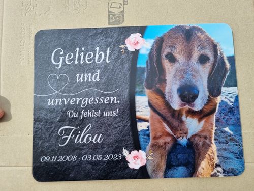 Customer photo review of Hunde Gedenktafel mit Foto & Spruch (UV- und wetterbeständig)