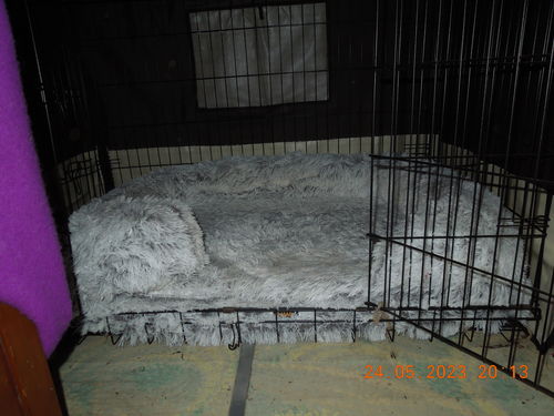 Customer photo review of PaWz Pet Orthopaedic  Bed
