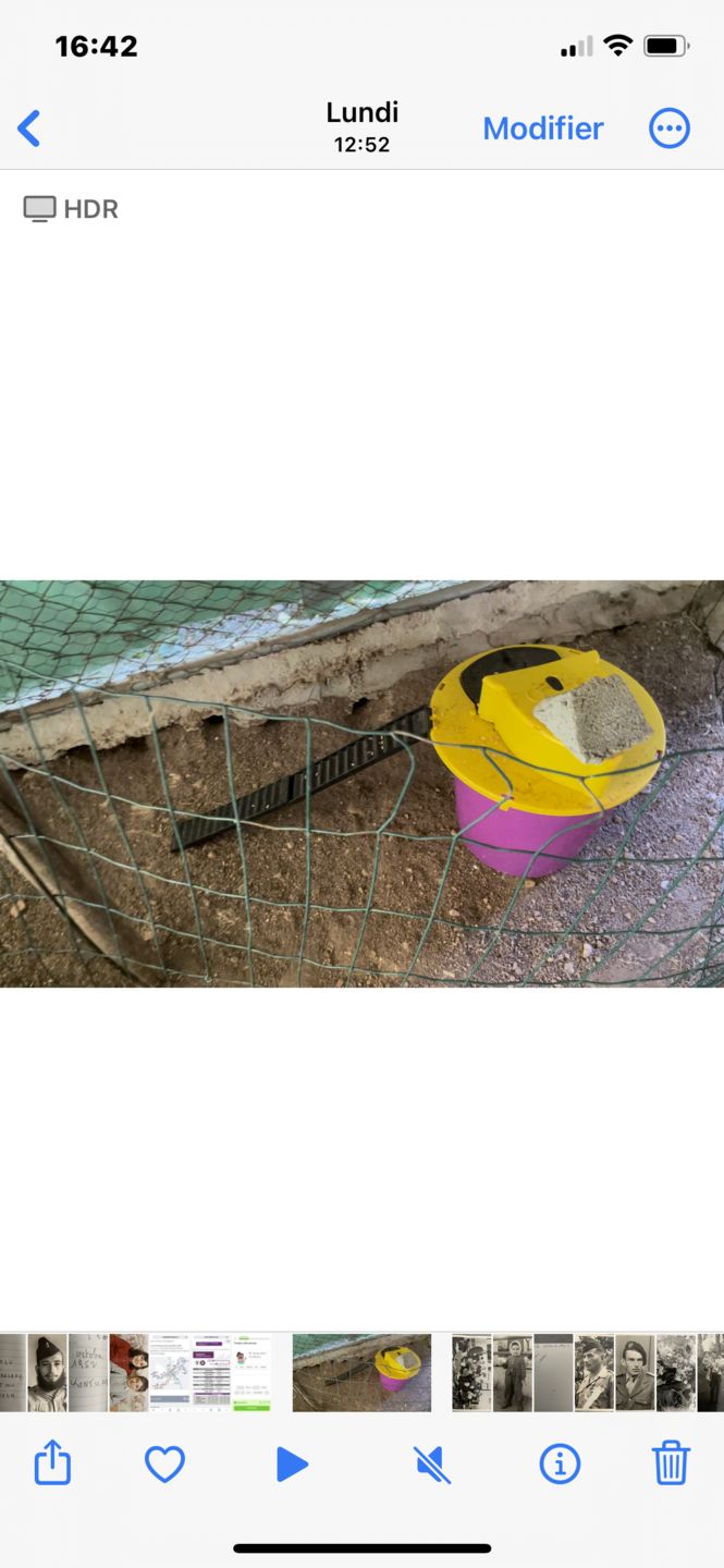 Customer photo review of Piège à Rats, Mulots et Souris à Trappe intelligente