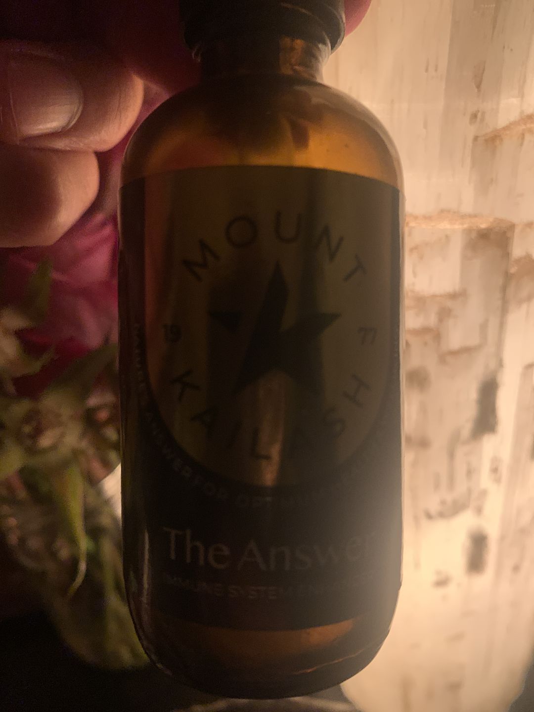 Customer photo review of The Answer - Immune System Enhancer