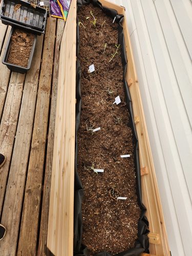 Customer photo review of 18" x 72" Planter Box - 24" Tall