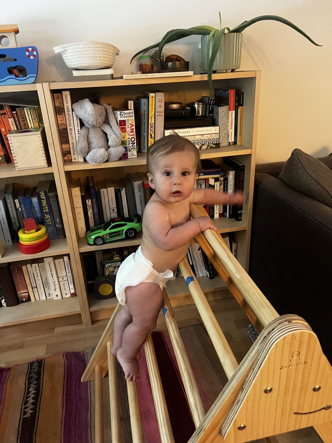 Customer photo review of Olive- Pikler Triangle Ladder and Climber Slide - Multiple Sizes
