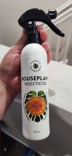 Customer photo review of Houseplant Insecticide w/ Neem