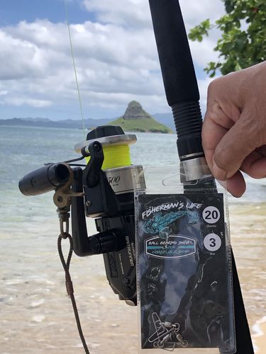Customer photo review of 20 Pack Ball Bearing Swivels with Coast Lock Snap  Fisherman's Life®