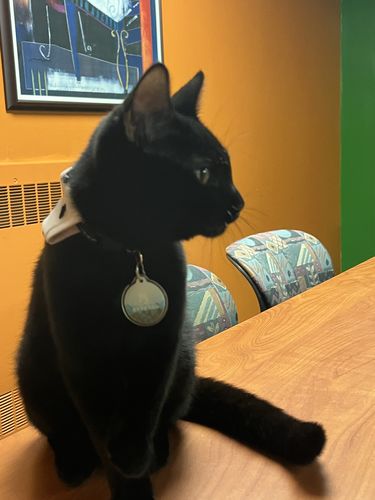 Customer photo review of Explorer