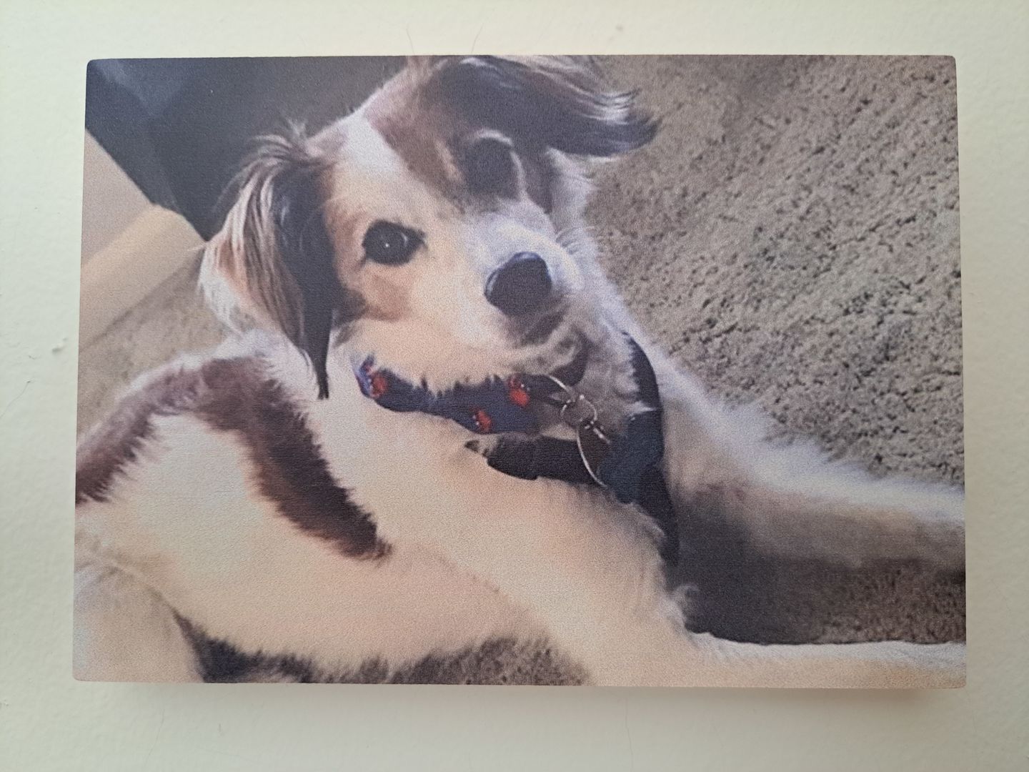 Customer photo review of 5 x 7 Wood Print