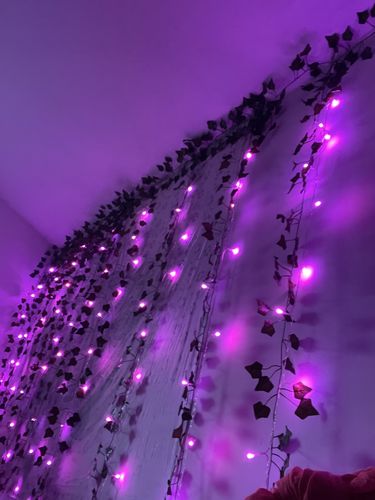Customer photo review of Generic LED Fairy Lights Curtain Lights