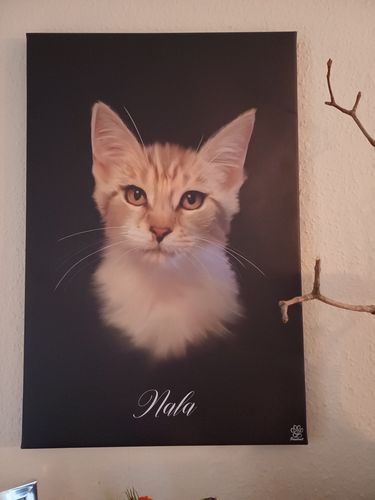 Customer photo review of Öl Pawtrait