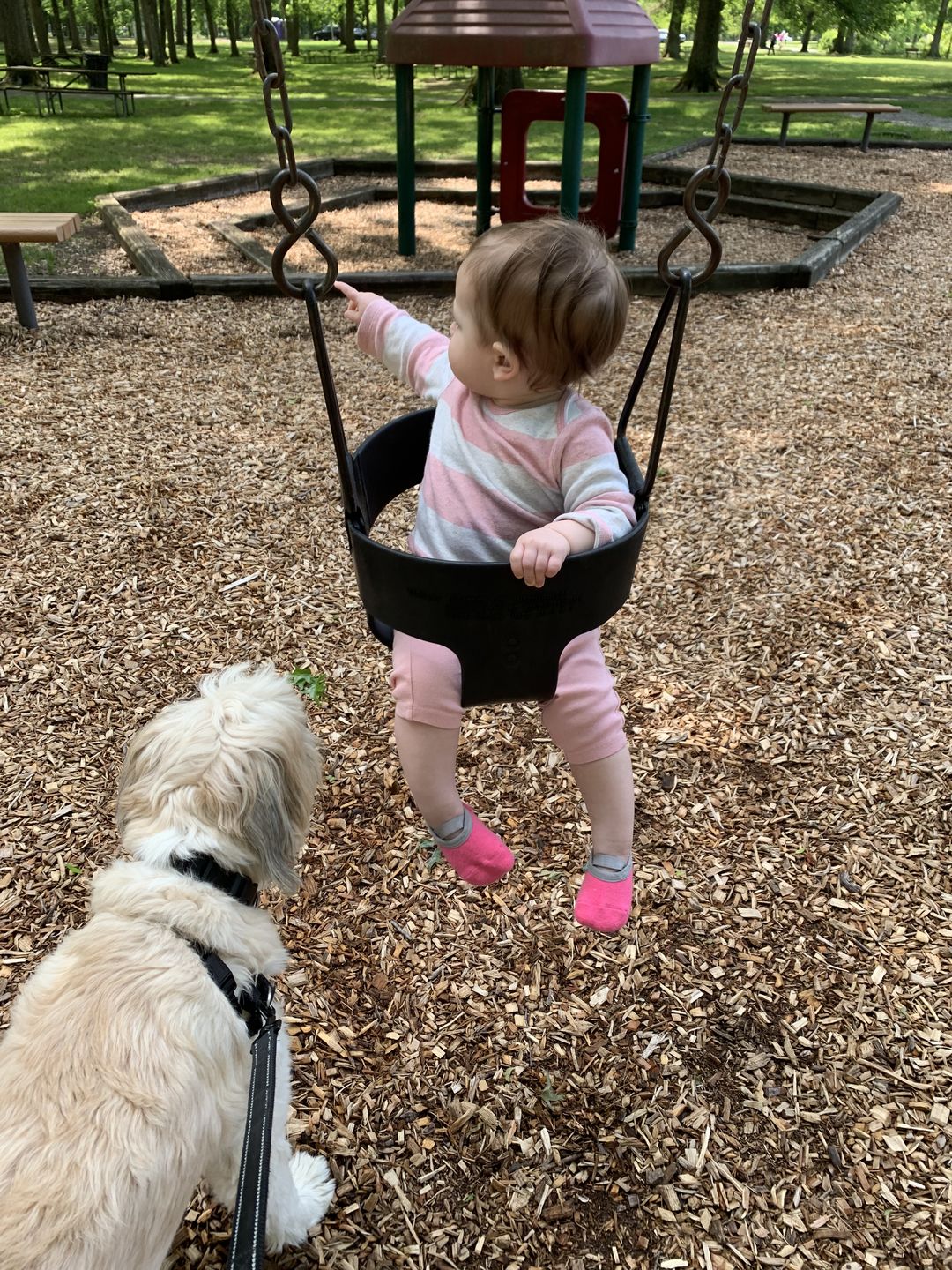 Customer photo review of Non-Slip Baby Socks | Three Amigos 3-Pack