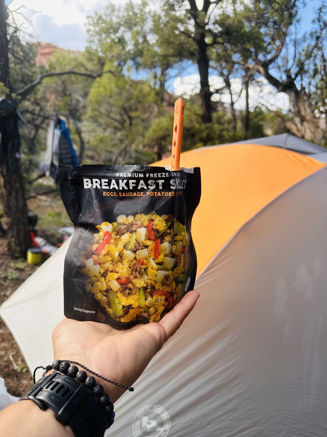 Customer photo review of Breakfast Skillet