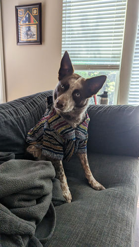 Customer photo review of Playa Poncho - Surprise Color