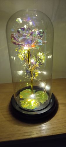 Customer photo review of Enchanted Galaxy Forever Rose™