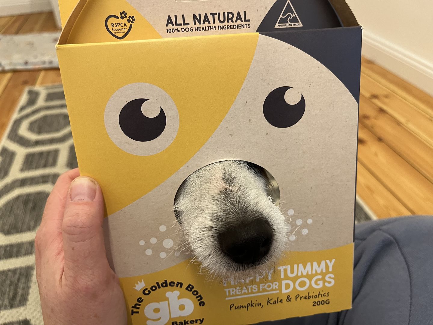Customer photo review of Happy Tummy Treats with Prebiotics
