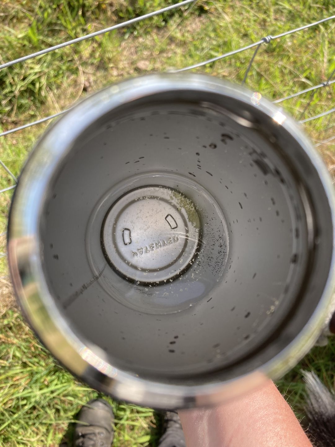 Customer photo review of Dog Water Bottle Replacement Bottle Top