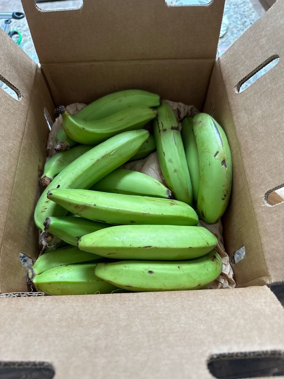 Customer photo review of Gros Michel Banana Box
