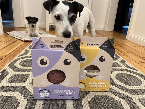 Anne K. review of Immune Booster Treats with Blueberries image 1 out of 1