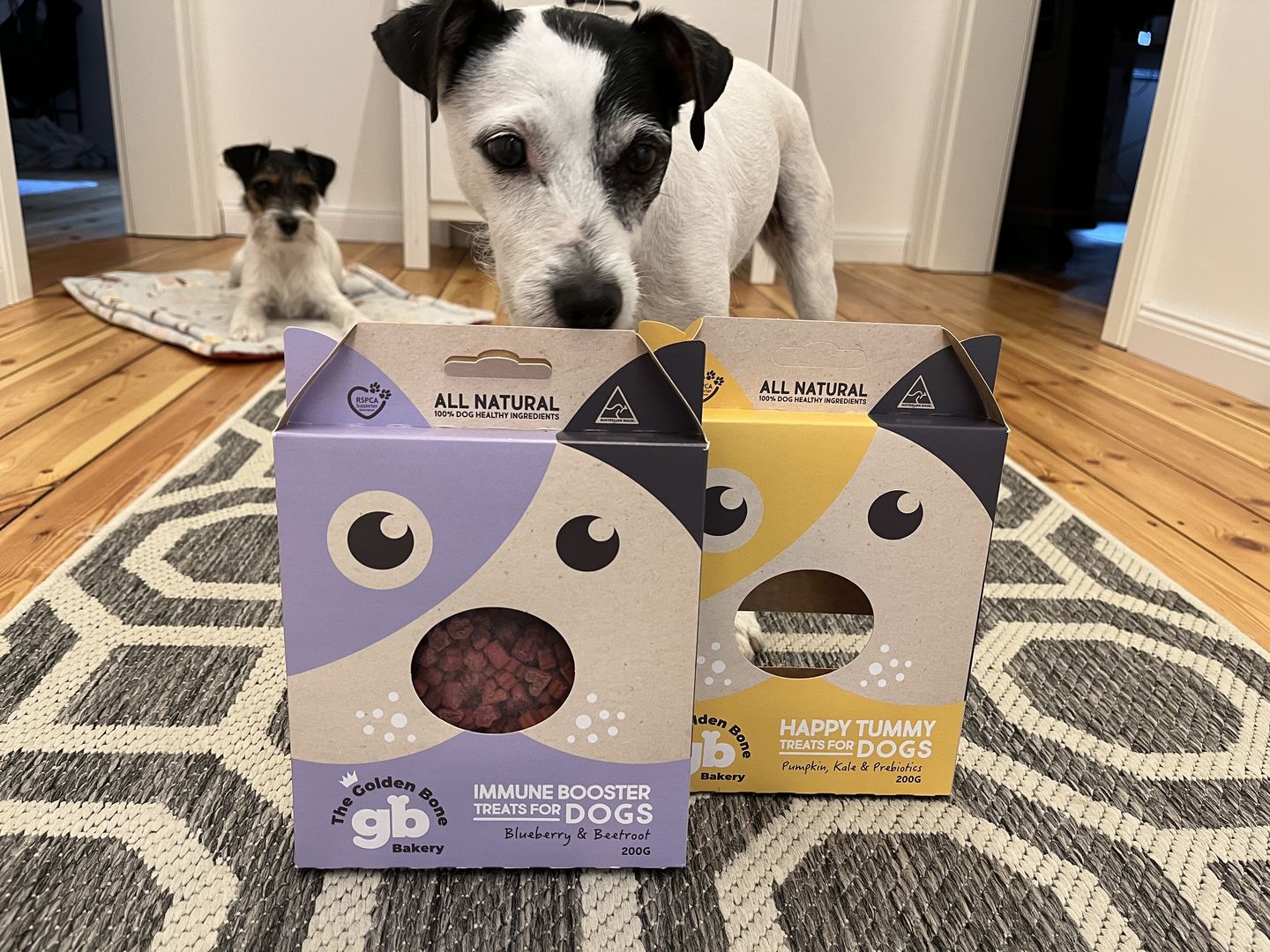 Customer photo review of Immune Booster Treats with Blueberries
