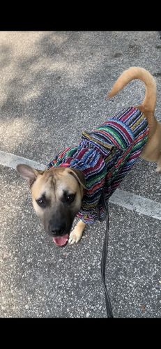 Customer photo review of Playa Poncho - Surprise Color
