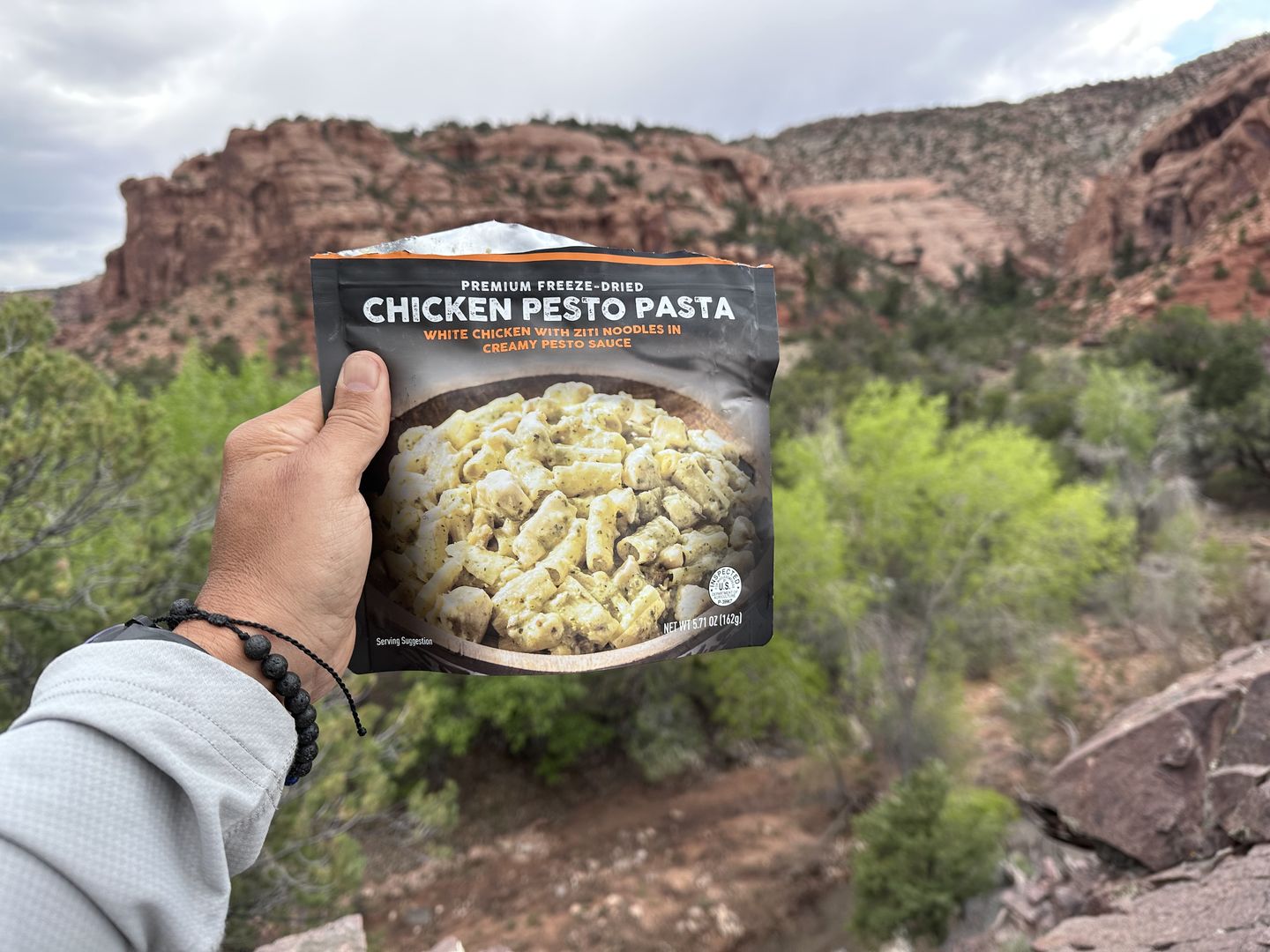 Customer photo review of Chicken Pesto Pasta
