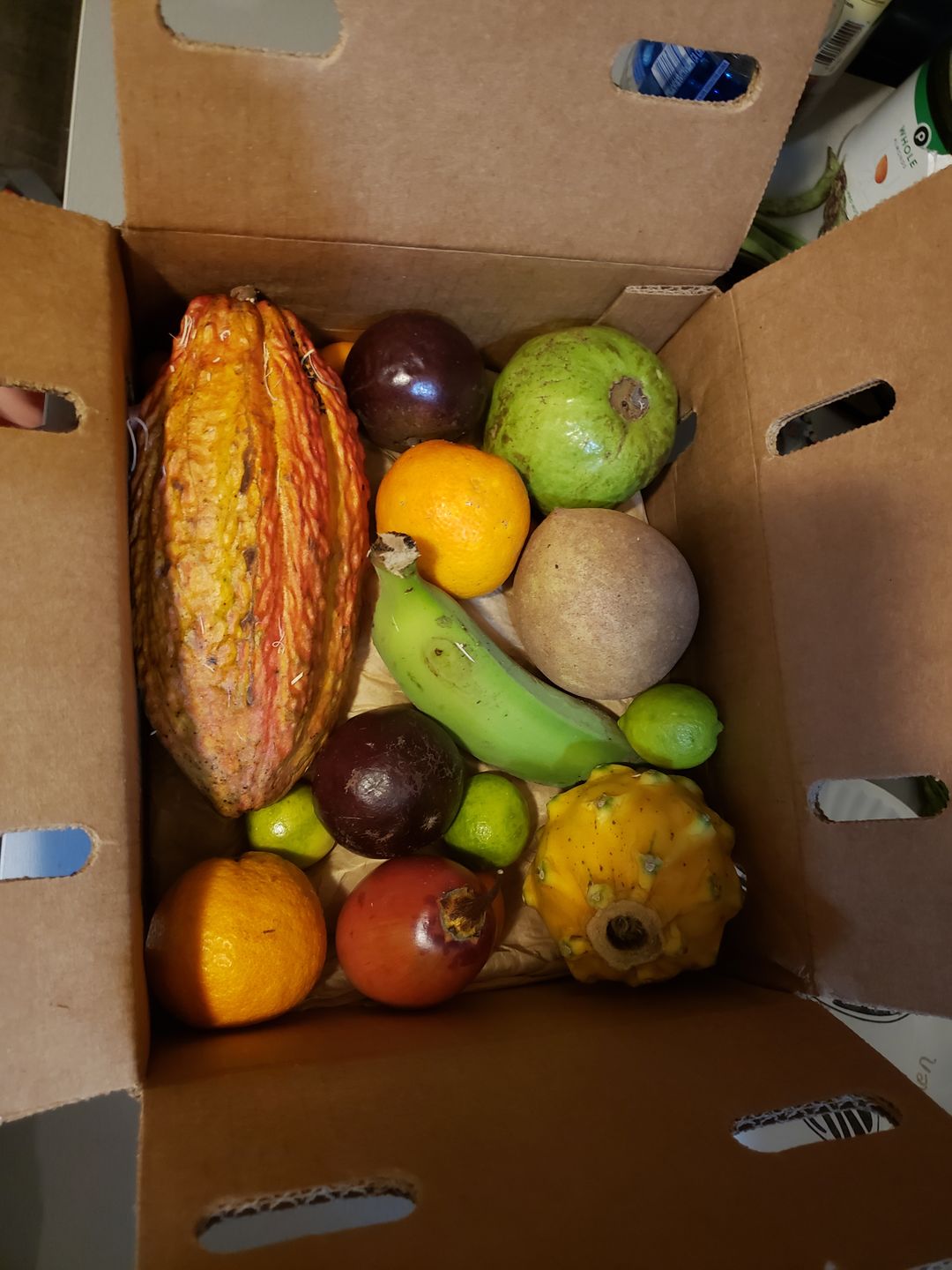 Customer photo review of Florida Residents Club Box