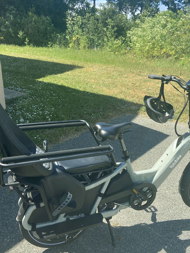 Customer photo review of Lion-Tea Green Step Thru Cargo Electric Bike