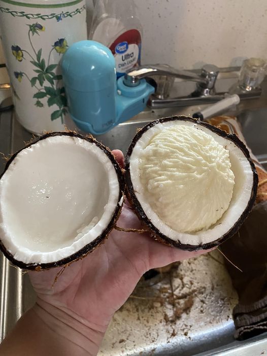 Customer photo review of Sprouted Coconut Box *Pre-Order*