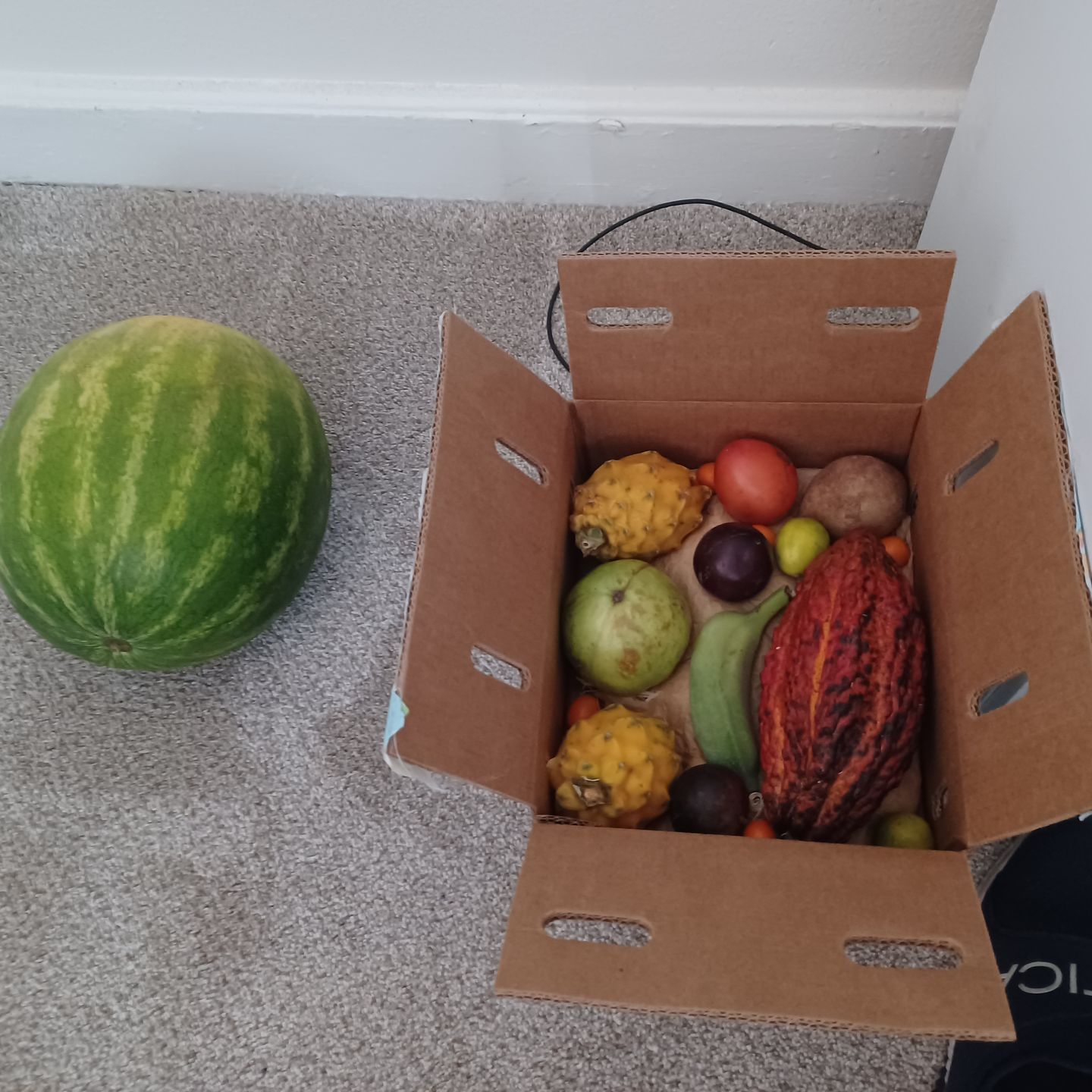 Customer photo review of Florida Residents Club Box
