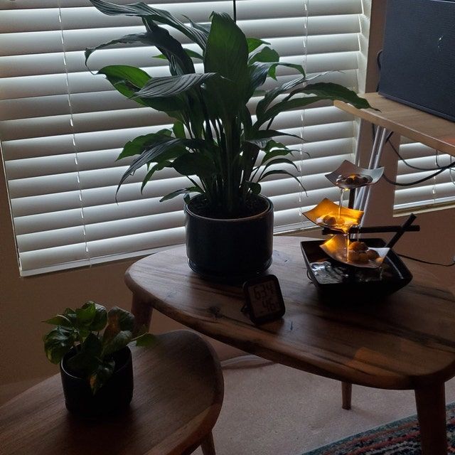 Customer photo review of Ercol Style Solid Walnut Set of Three Nesting Table