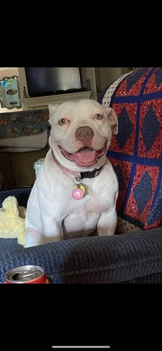 Customer photo review of Pink