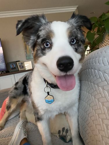 Customer photo review of Floral Silicone