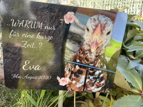 Customer photo review of Katzen Gedenktafel mit Foto & Spruch