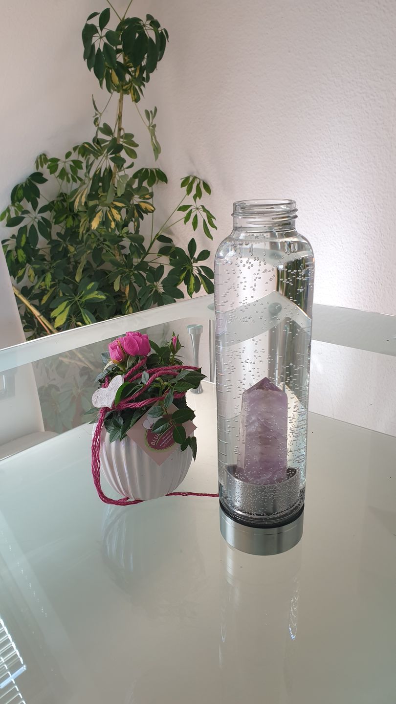 Customer photo review of Crystal Water Bottle + Carry Case