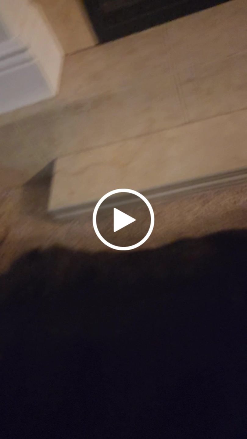 Customer video review of furMe™️ Grooming Vacuum Model FM-01 Replacement Parts