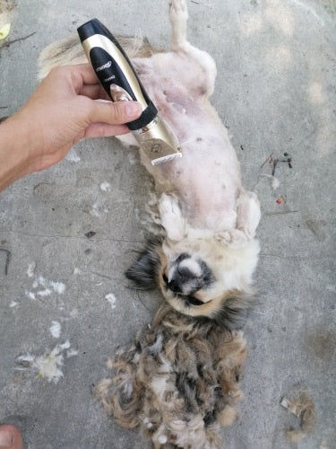 Customer photo review of The Original ClipMyPaws™ - The World's Quietest Pet Hair Clipper
