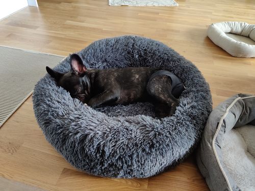 Customer photo review of CalmBed - Motverkar stress & hjälper mot ångest