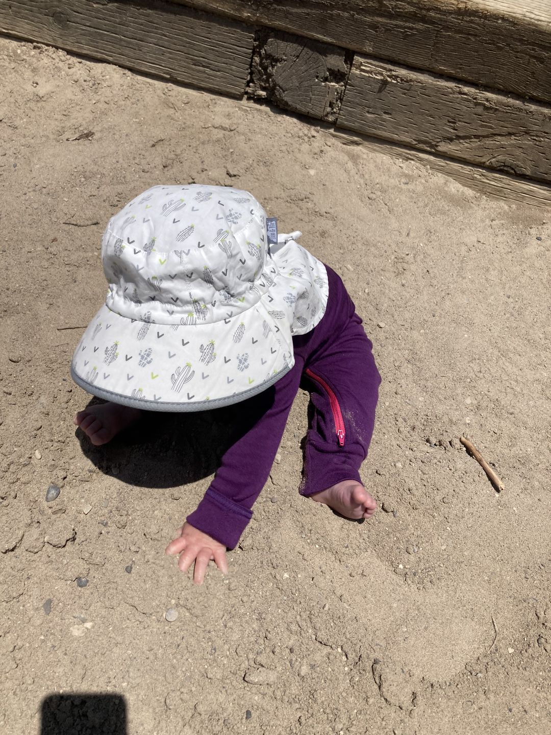 Customer photo review of baby adventure zippy