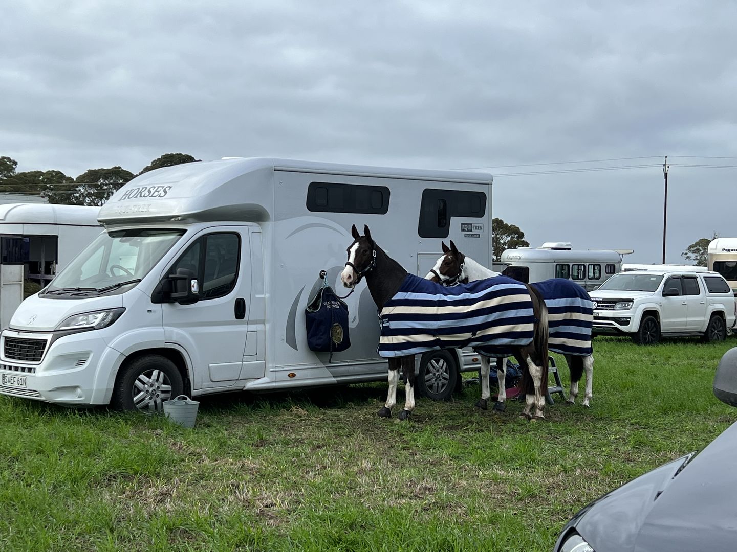 Customer photo review of Rambo Deluxe Fleece