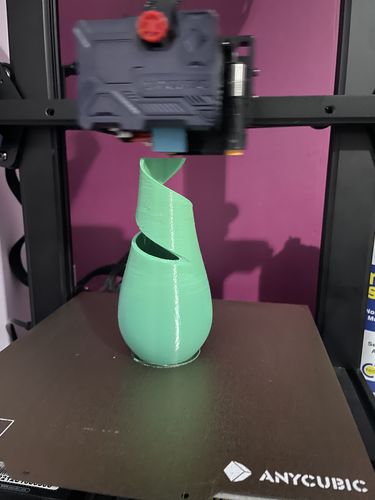 Customer photo review of Anycubic Kobra