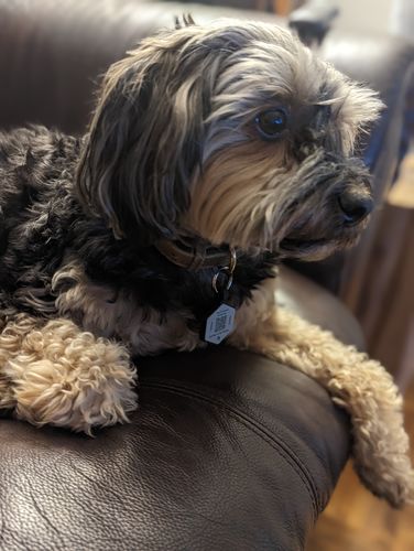 Customer photo review of Beach Silicone