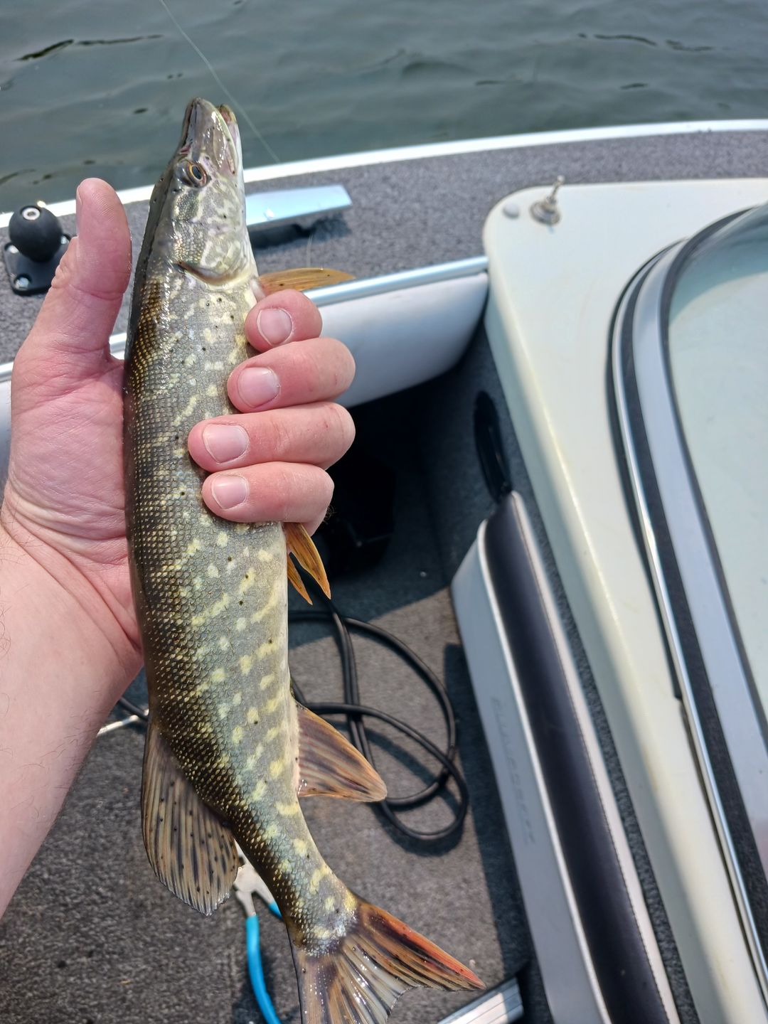Customer photo review of Spinning Pre-Built Rod