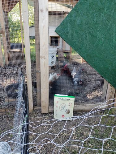 Customer photo review of GrubTerra Dried Larvae