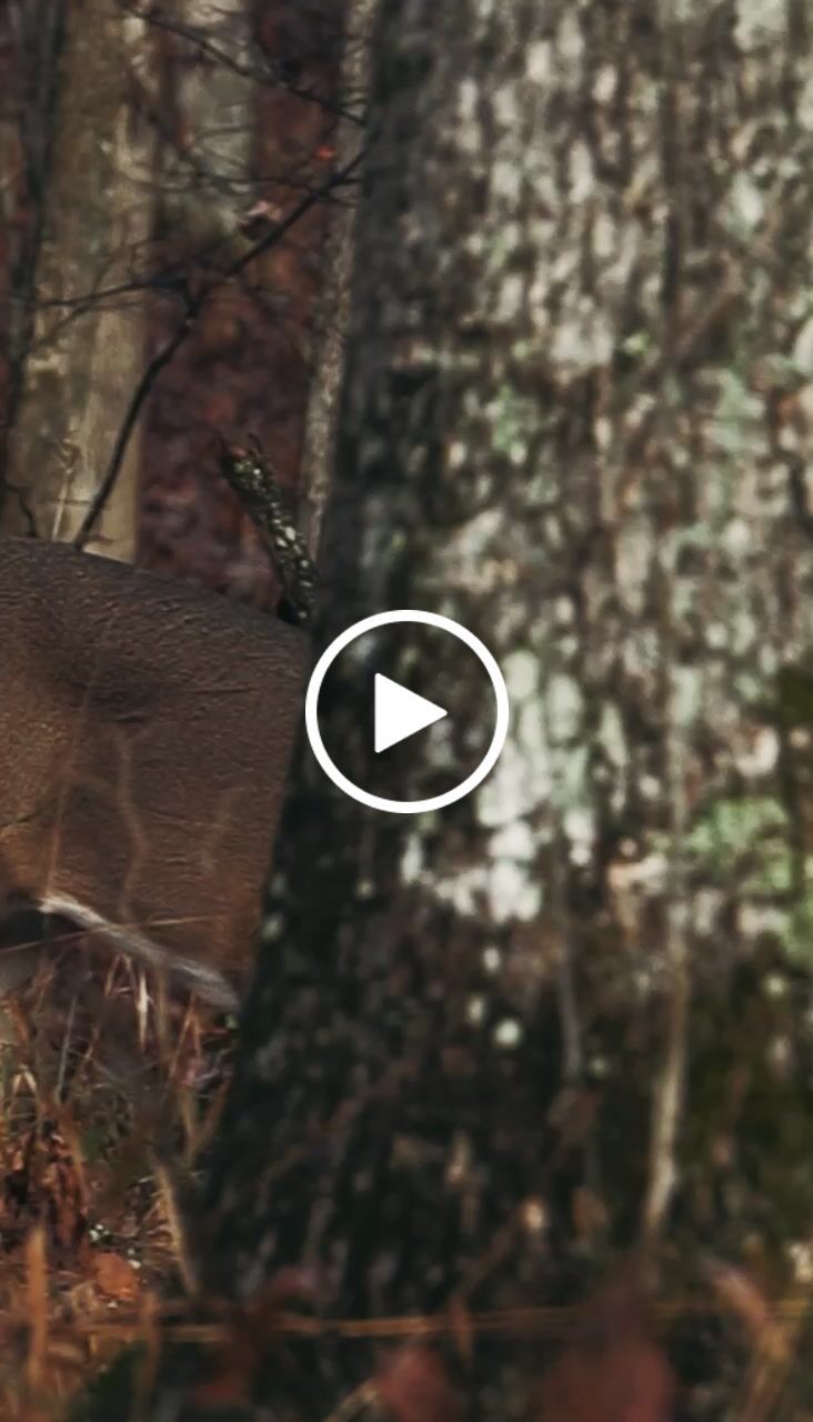 Customer video review of GOLDEN HOUR VIDEO LUTS (MOBILE & DESKTOP)