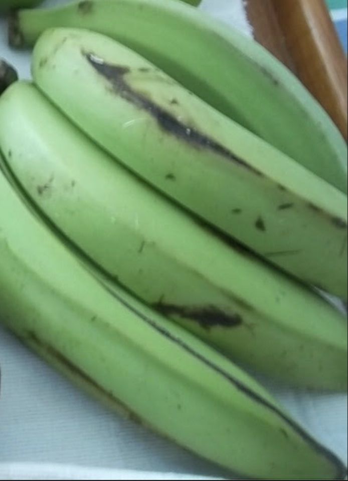 Customer photo review of Gros Michel Banana Box