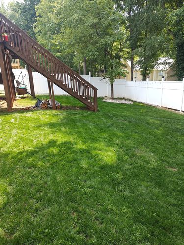 Customer photo review of In Store GCI Turf Type Tall fescue Grass Seed