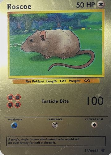 Customer photo review of Number of Pokepets and Trainers