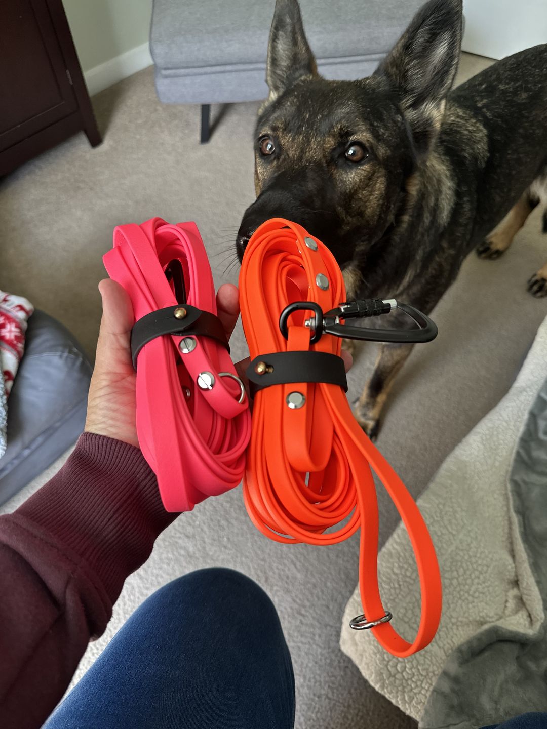 Customer photo review of Katmai Leash