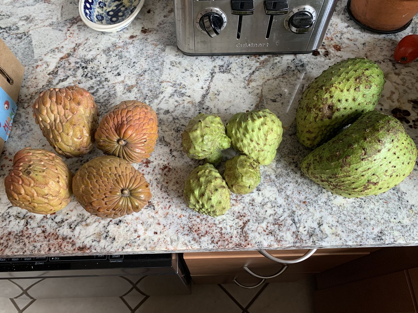 Customer photo review of Annona Variety Box