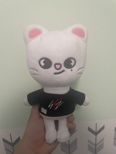Customer photo review of Official Stray Kids SKZOO Plush (Original Ver)