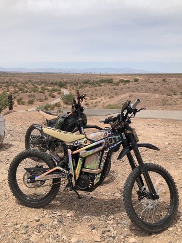 Customer photo review of Talaria Sting