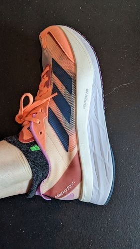 Customer photo review of ISW Isolwool No-Show (3 Pair Pack) Runner Socks